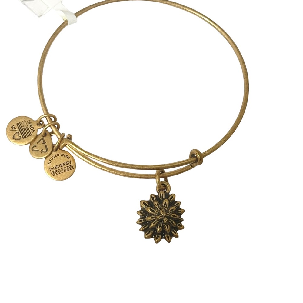 new Alex and Ani ꥟ Sacred Garden - Water Lily Charm Bangle Bracelet ꥟ Gold - Picture 5 of 14